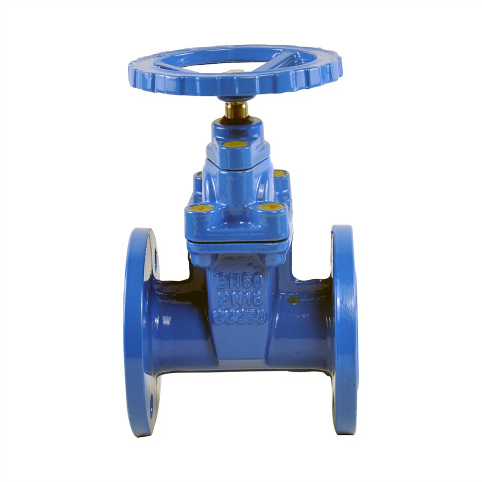 F4 Gate Valve F4
